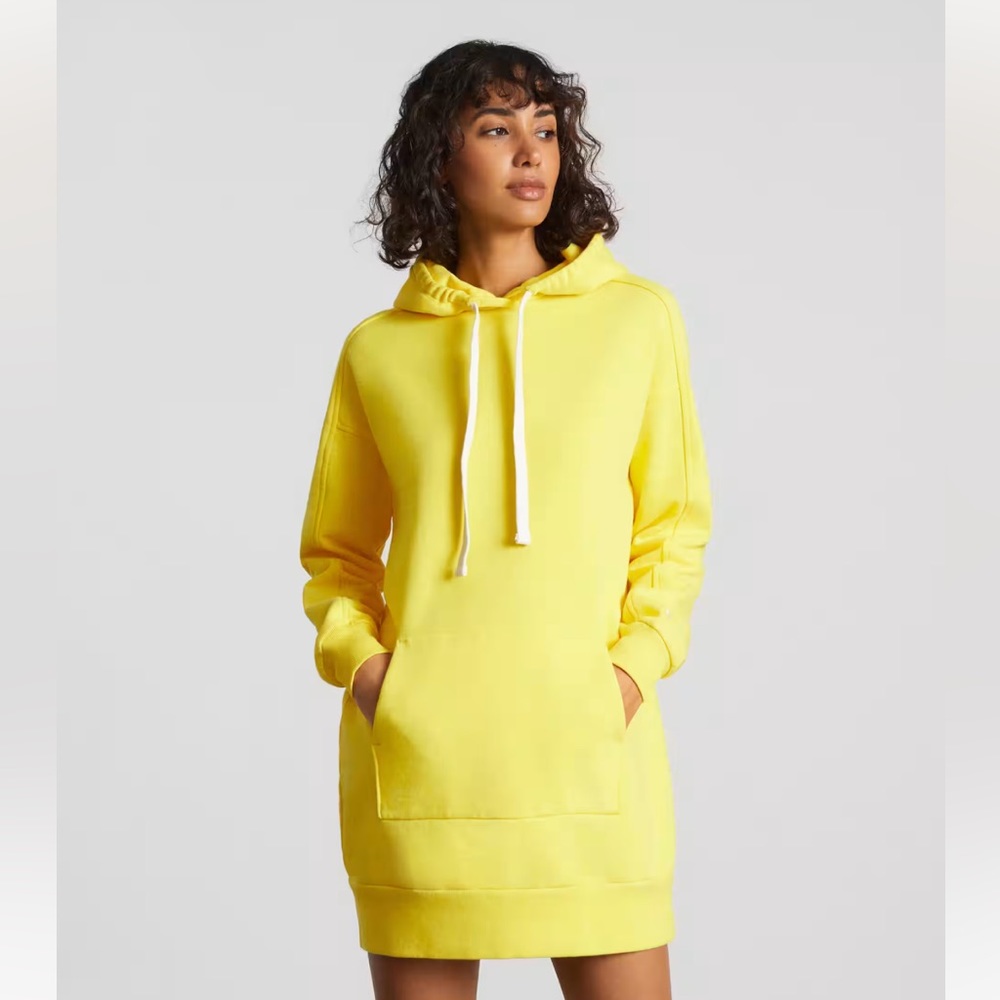 EUC everlane sweater dress